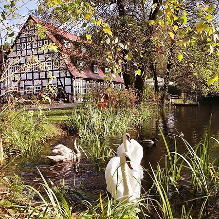 Springbach-Muhle Belzig Hotel Exterior photo